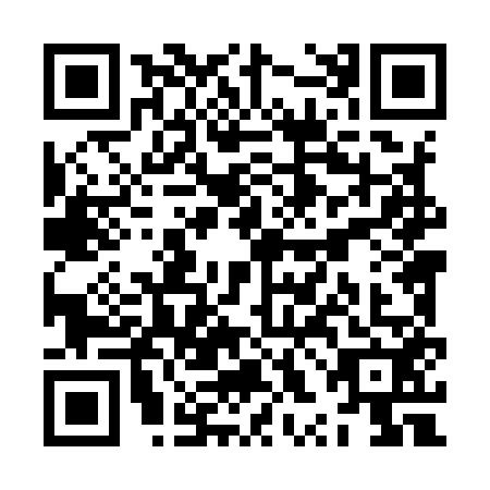 QR code for ZXL-9528