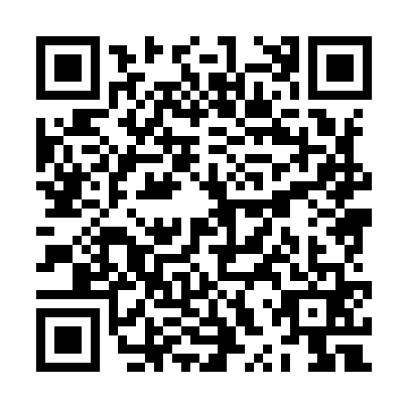 QR code for ZXX-9613