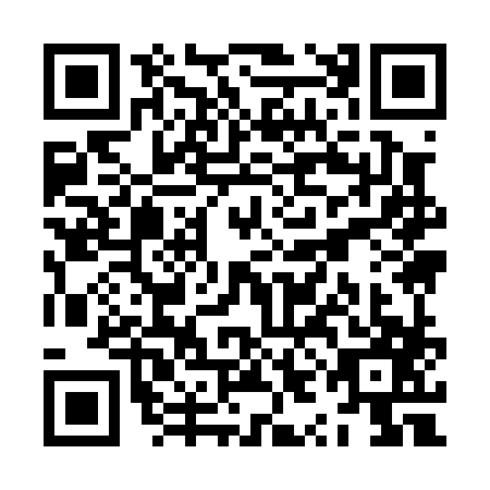 QR code for ZYI-0875
