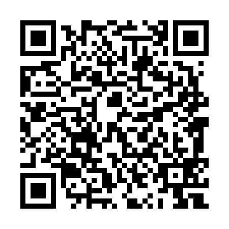 QR code for plate ZYL-6994
