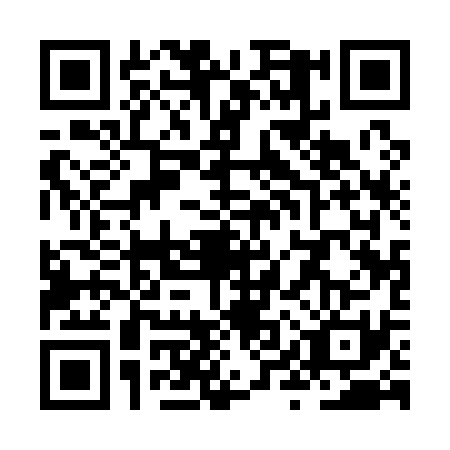 QR code for ZYQ1310