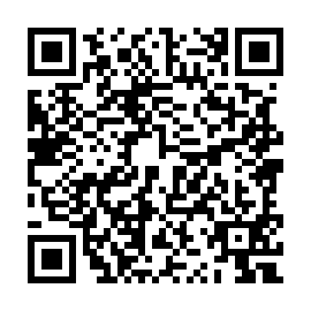 QR code for ZZX-5911