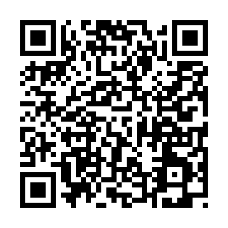 QR code for 1-495X