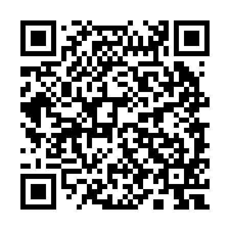 QR code for 1-94295