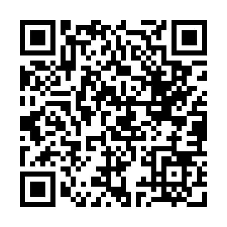 QR code for 1-9MPV