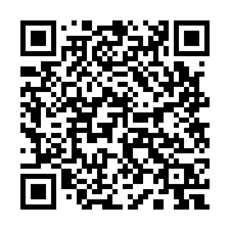 QR code for 10-217P