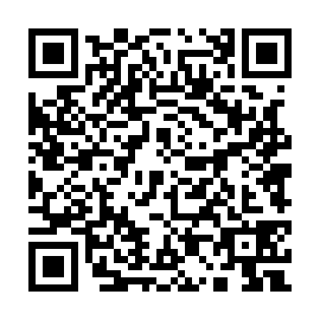 QR code for 10-41384