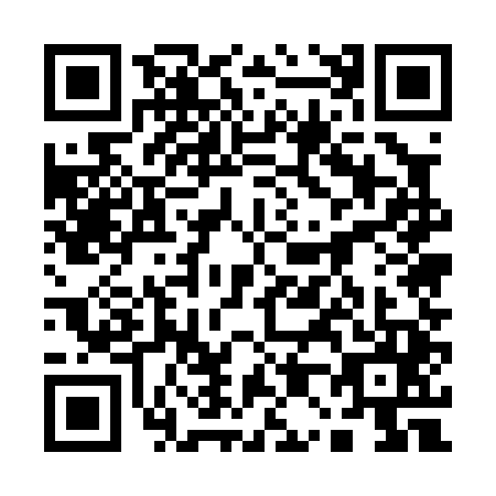 QR code for 10-50452