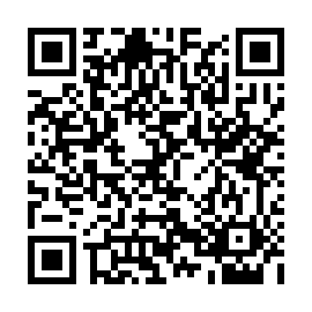 QR code for 10-63403