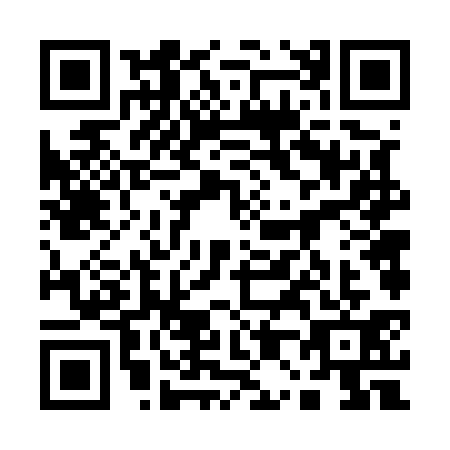 QR code for 10-65314