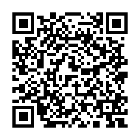 QR code for 10-95019