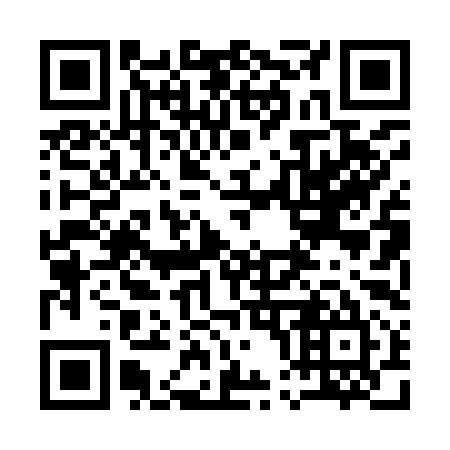 QR code for 100995