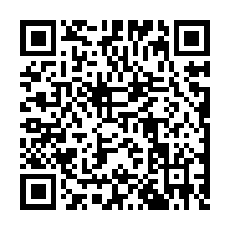 QR code for 1029P