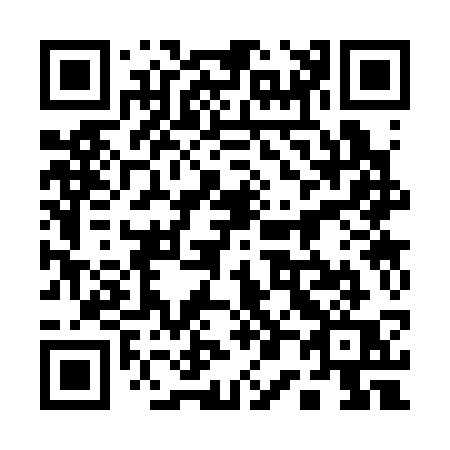 QR code for 10333Q