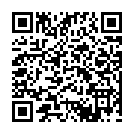 QR code for plate 1-0389