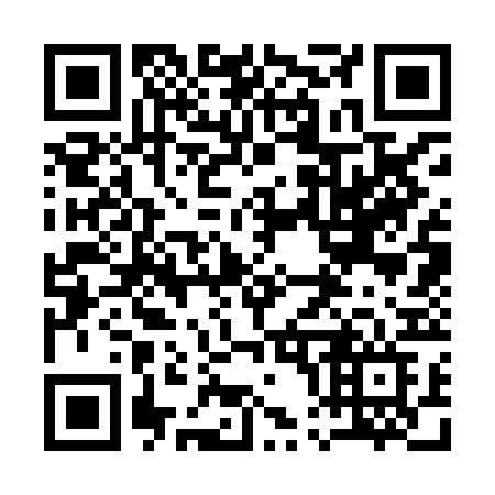 QR code for plate 10-38BF