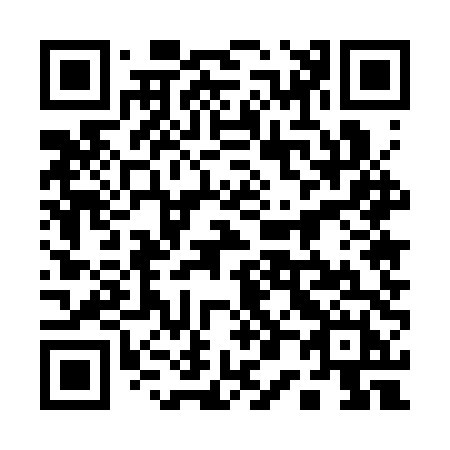 QR code for plate 10-53TH