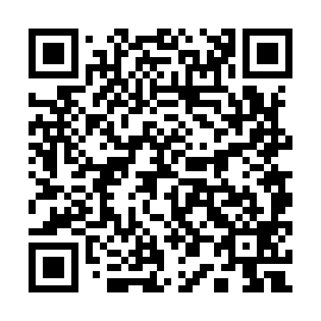 QR code for plate 10-6999