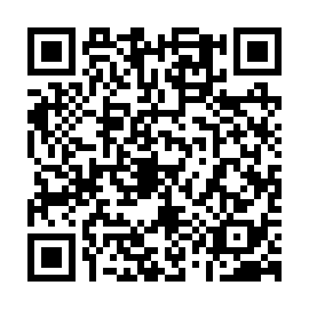 QR code for 11-12381