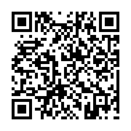 QR code for 11-295P