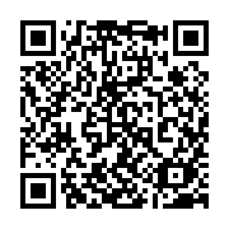 QR code for 11-919M