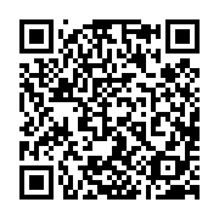 QR code for plate 11-0498