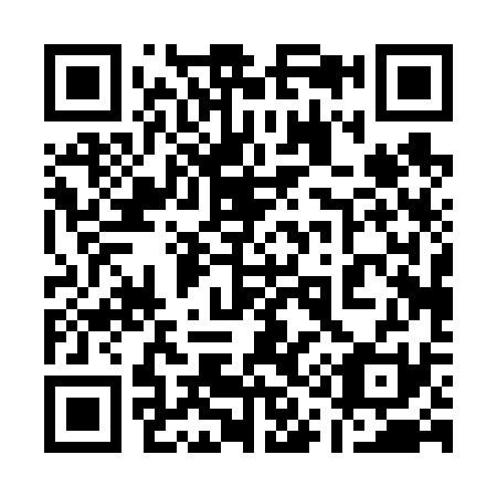 QR code for plate 11-0631
