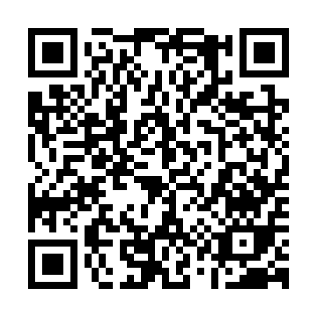 QR code for plate 1-133Q