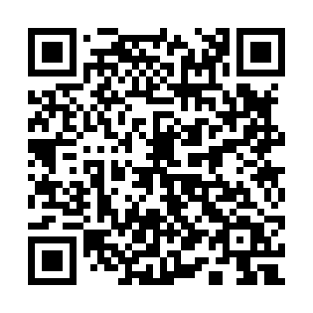 QR code for plate 11-382T