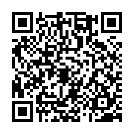 QR code for plate 11-38346