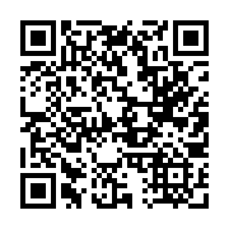 QR code for 1141ZI