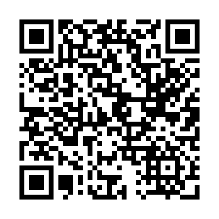 QR code for plate 11-4317