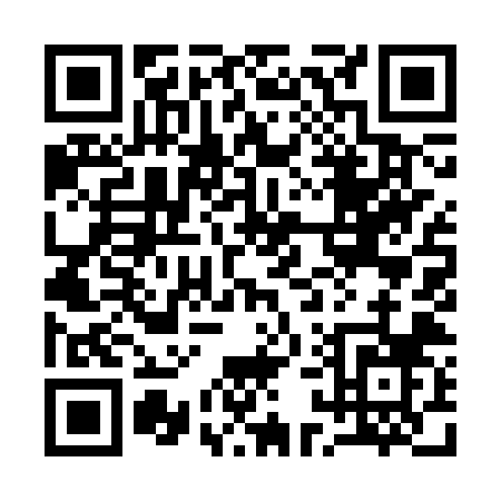QR code for 1193Z