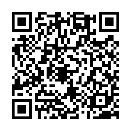 QR code for plate 11-95919