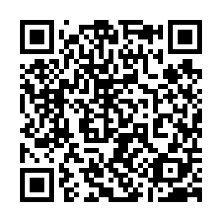 QR code for plate 11-9608