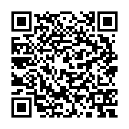 QR code for plate 11-96743