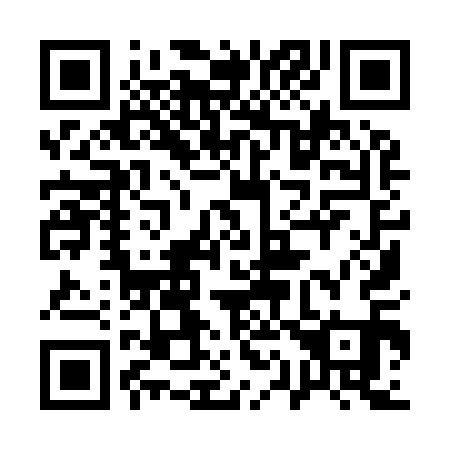QR code for plate 11-9911