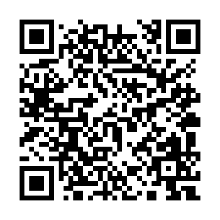 QR code for 11LZI
