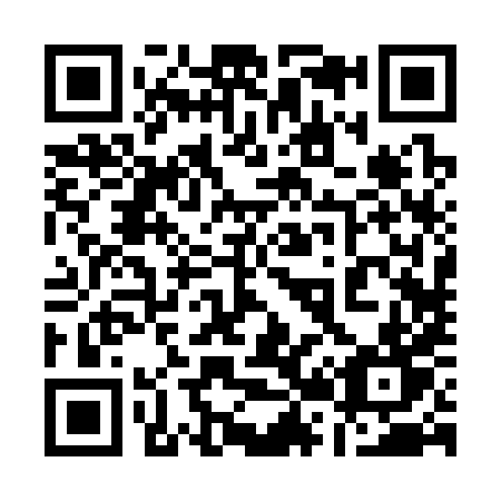 QR code for 12-238T