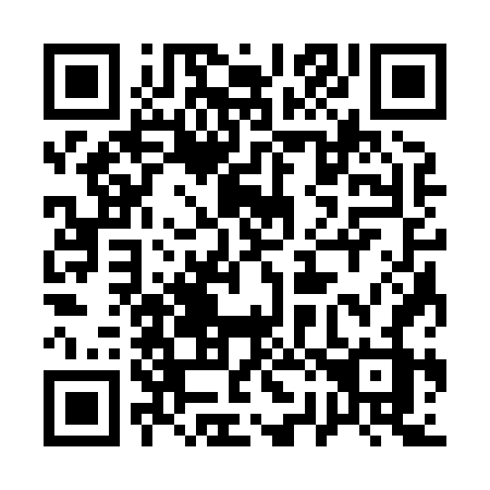 QR code for 12-386Z