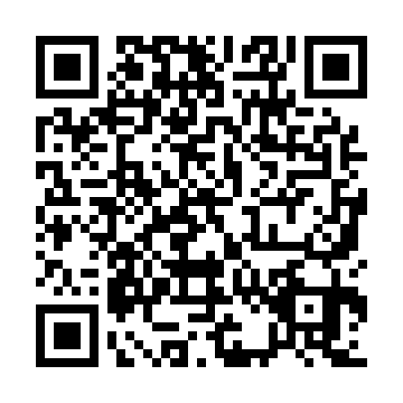 QR code for 12-91311