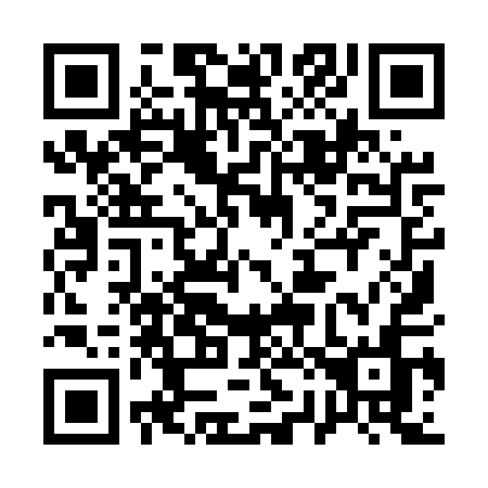 QR code for 12-95QN