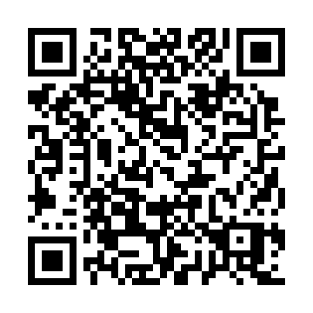 QR code for 12233P