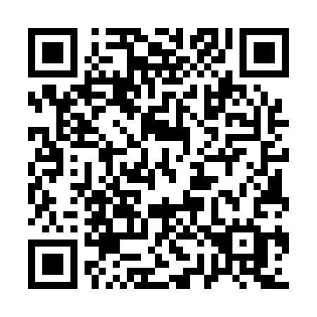 QR code for 12513G
