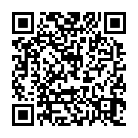 QR code for 126333