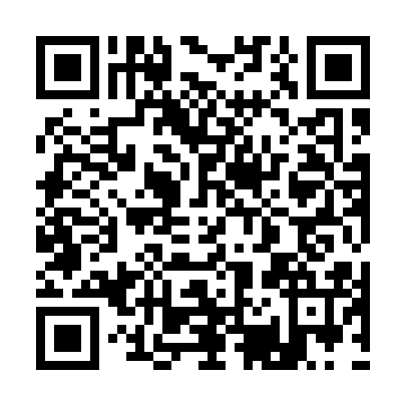 QR code for plate 12-91163