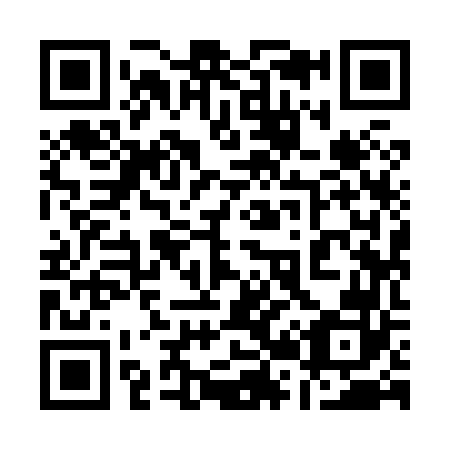 QR code for plate 1-29862