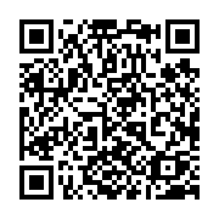 QR code for 13-063Q