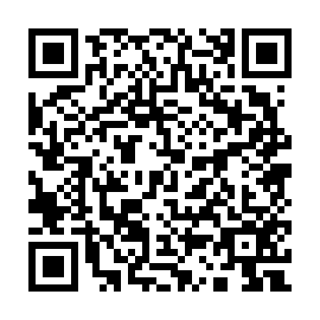 QR code for 13-06563
