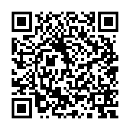 QR code for 13-06699